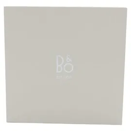 Bang & Olufsen Beosound A1 grau