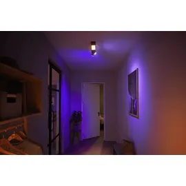Philips Hue White & Col. Amb. Centris Spot 2 flg. Schwarz Lampe 2200 - 6500