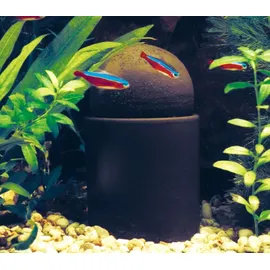 Söchting Oxydator A für Aquarien bis 400 Liter