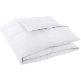 REGINA HOME SLEEP LIVING EST. 1967 Daunendecke, Weiß, Textil, Füllung: Daunen, Federn, 200x200 cm, Oeko-Tex® Standard 100, Schlaftextilien, Bettdecken, Daunendecken