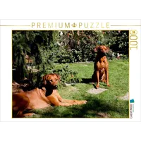 Calvendo Rhodesian Ridgeback Hündinnen 1000 Teile