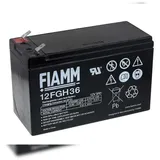 Fiamm Bleiakku 12FGH36 9000 mAh 1 St.