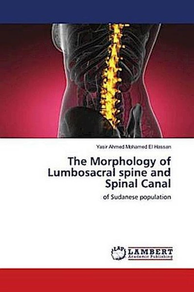The Morphology of Lumbosacral spine and Spinal Canal