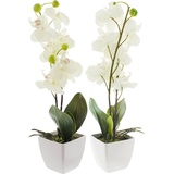 Kunstpflanze Kunstpflanze Orchidee 2er-Pack weiß