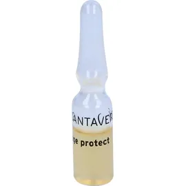 Santaverde Age Protect Ampullenkur 10 x 1 ml