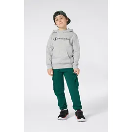 Champion Hoodie Grey 164