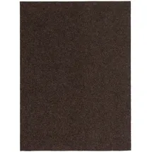 Snapstyle Kunstrasen Rasenteppich mit Noppen Kingston 200 x 300 cm Braun