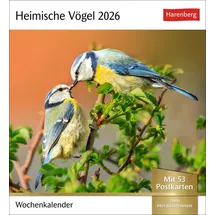 Harenberg Heimische Vögel Postkartenkalender 2026 - Wochenkalender mit 53 Postkarten: Wochenkalender im Postkarten-Format mit Vogelporträts. Tischkalender mit ... neuen Postkarten zum Sammeln und Verschicken