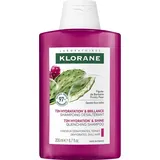 Klorane Fig Shampoo 200ML