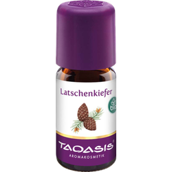 Latschenkieferöl Bio 5 ml