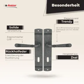 Domino Langschildgarnitur BB-Buntbart Nickel Loft M95