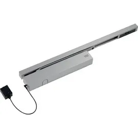 DORMA TS 99 FLR-K Freilauftürschließer Silber