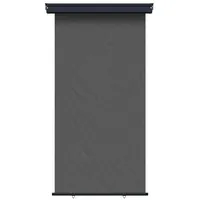 vidaXL Seitenmarkise 100 x 300 cm grau Eisen 1 St.