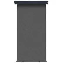 vidaXL Seitenmarkise 100 x 300 cm grau Eisen 1 St.