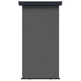 vidaXL Seitenmarkise 100 x 300 cm grau Eisen 1 St.