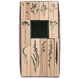 Rico Design Stempelset Transformation, Gräser