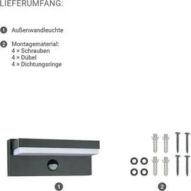 Longlife LED Außenwandleuchte UV-beständig 12 W 4000 K inkl. Bewegungsmelder anthrazit