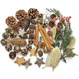 Adventskranz Deko, Potpourri Weihnachten,Weihnachtsdekoration mit Zapfen, Zweigen, Birke Stern, Zimt, Weihnachtlich Bastel Set, Tisch deko Adventskranz, Weihnachtsschmuck, Golden