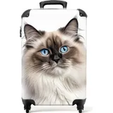 NoBoringSuitcases.com NoBoringSuitcases.com® Handgepäck Hartschalenkoffer mit TSA Schloss, Trolley, Reisekoffer, Carry on, Rollkoffer, Klein oder Mittelgroß Beige Weiß