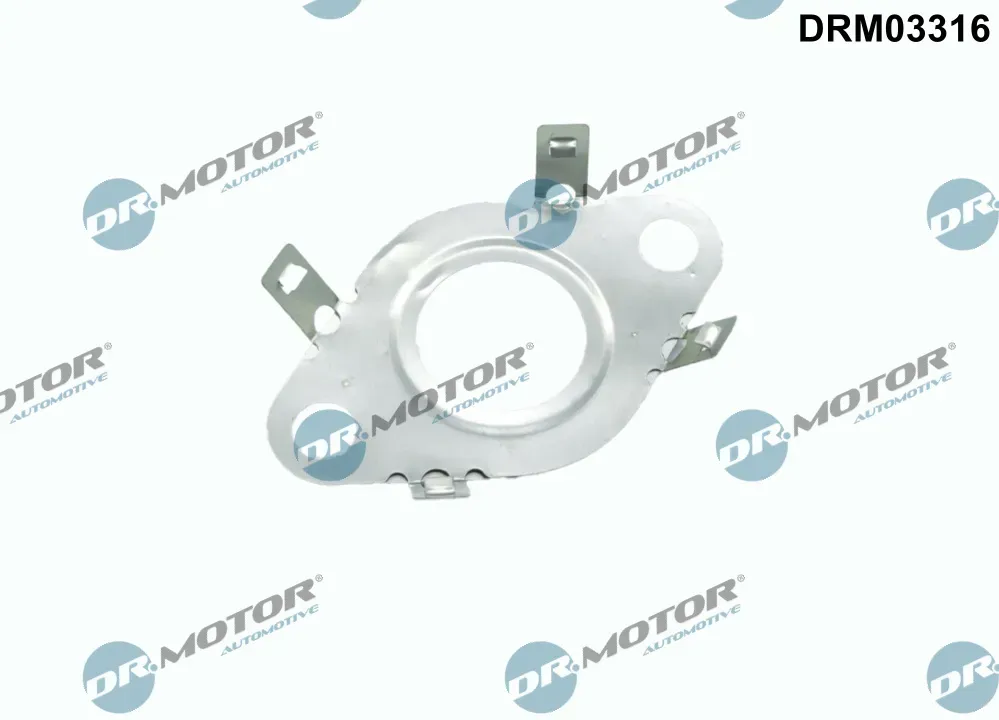 DR.MOTOR AUTOMOTIVE Dichtung, Leitung AGR-Ventil drm03316 für VW