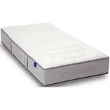 Revor Bedding Anatomic ZIP 500 Latex 100 x 200 cm H2