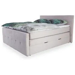 Boxspringbett HARPER MOLLINA