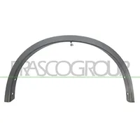 PRASCO Verbreiterung, Kotflügel DS8361571