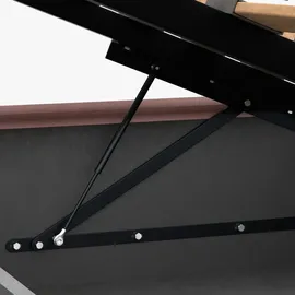 Muralo Polsterbett Stoffbett Bett mit Bettkasten und Gasdruckfeder mit Polsterkopfteil Bett 120x200 Bett mit Stauraum Altrosa