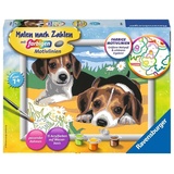 Ravensburger Malen nach Zahlen Jack Russel Welpen