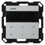 Gira 232026 IP System 55