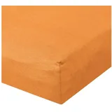 BettwarenShop Spannbettlaken Baumwolle-Jersey-Elasthan 120 x 200 - 130 x 220 cm orange