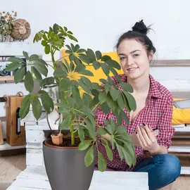 Relaxdays Tonspitzen Bewässerung 4er Set