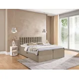 Fun Möbel Boxspringbett Schlafzimmerbett TORIBO 120x220cm Stoff Coral Dunkelbeige - Beige
