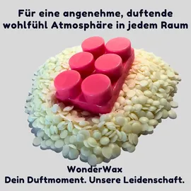 wonderwax Duftwachs Alien 6 x Duftwachs Kreise