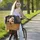 KLICKfix Doggy Basket Korbklip