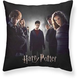 Harry Potter Kissenbezug Harry Potter, Dumbledore's Army Schwarz 50 x 50 cm,