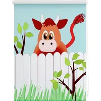 Lichtblick Seitenzugrollo in Bunt | Gr.: 45 x 150