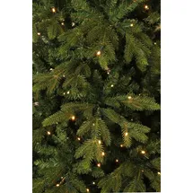 Black Box Trees Weihnachtsbaum Macallan 155 cm grün mit LED