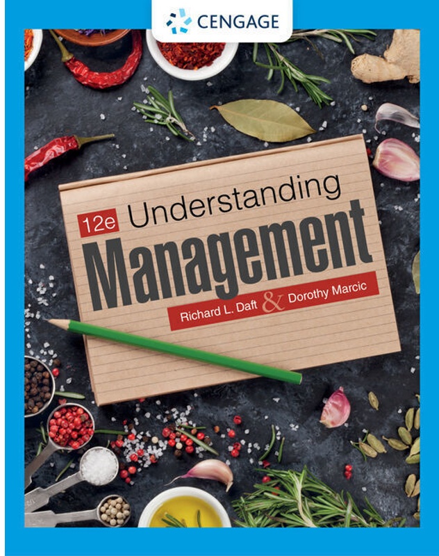 Understanding Management - Richard Daft, Dorothy Marcic, Kartoniert (TB)
