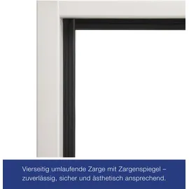 Hörmann T30 H8-5 links 87,5 x 125 cm grauweiß