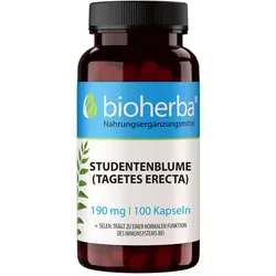 Studentenblume (Tagetes Erecta) 190 mg 100 St