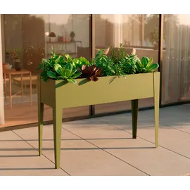 Westmann Vedura M 30 x 100 x 80 cm Olivgrün