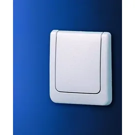 Grohe Abdeckplatte für Urinal mattchrom