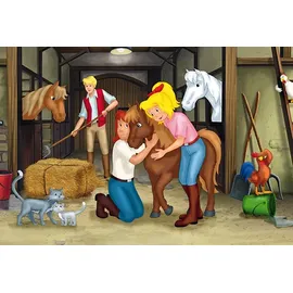 Schmidt Spiele Bibi & Tina Puzzle-Box im Metallkoffer (56509)