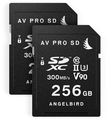 Angelbird 2 Pack Match Pack für Panasonic EVA1 256GB 256 GB