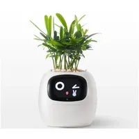 Tuya Plantsio, Blumentopf, Ivy Smart Planter - 2 Jahre