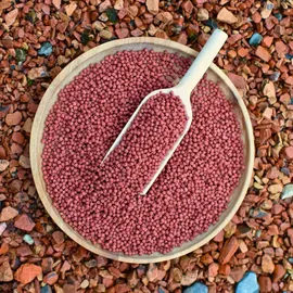 Lyra Pet Pond Colour Astax Koi Pellets 10 l (3,7 kg)