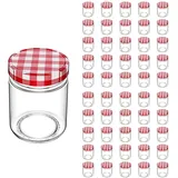 Intirilife Einmachglas 200 ml 50 St.