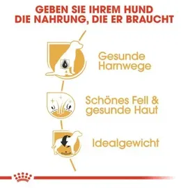 Royal Canin Bichon Frise Adult 3 x  1,5 kg