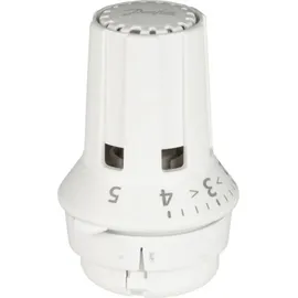 Danfoss Heizkörperthermostat RAW 5010 mit Fühler 8-28 °C